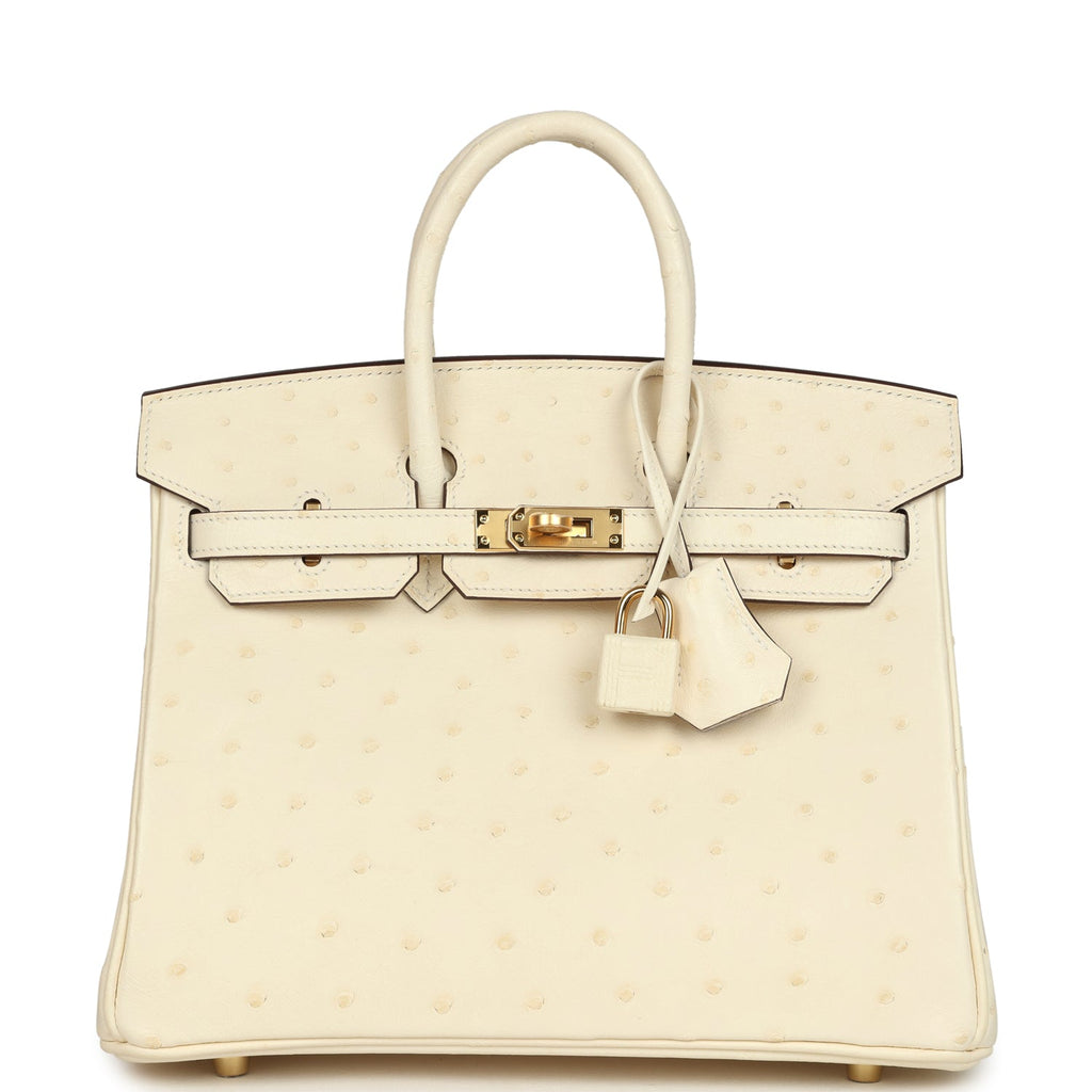 Birkin 25 Nata Ostrich Gold Hardware Bag