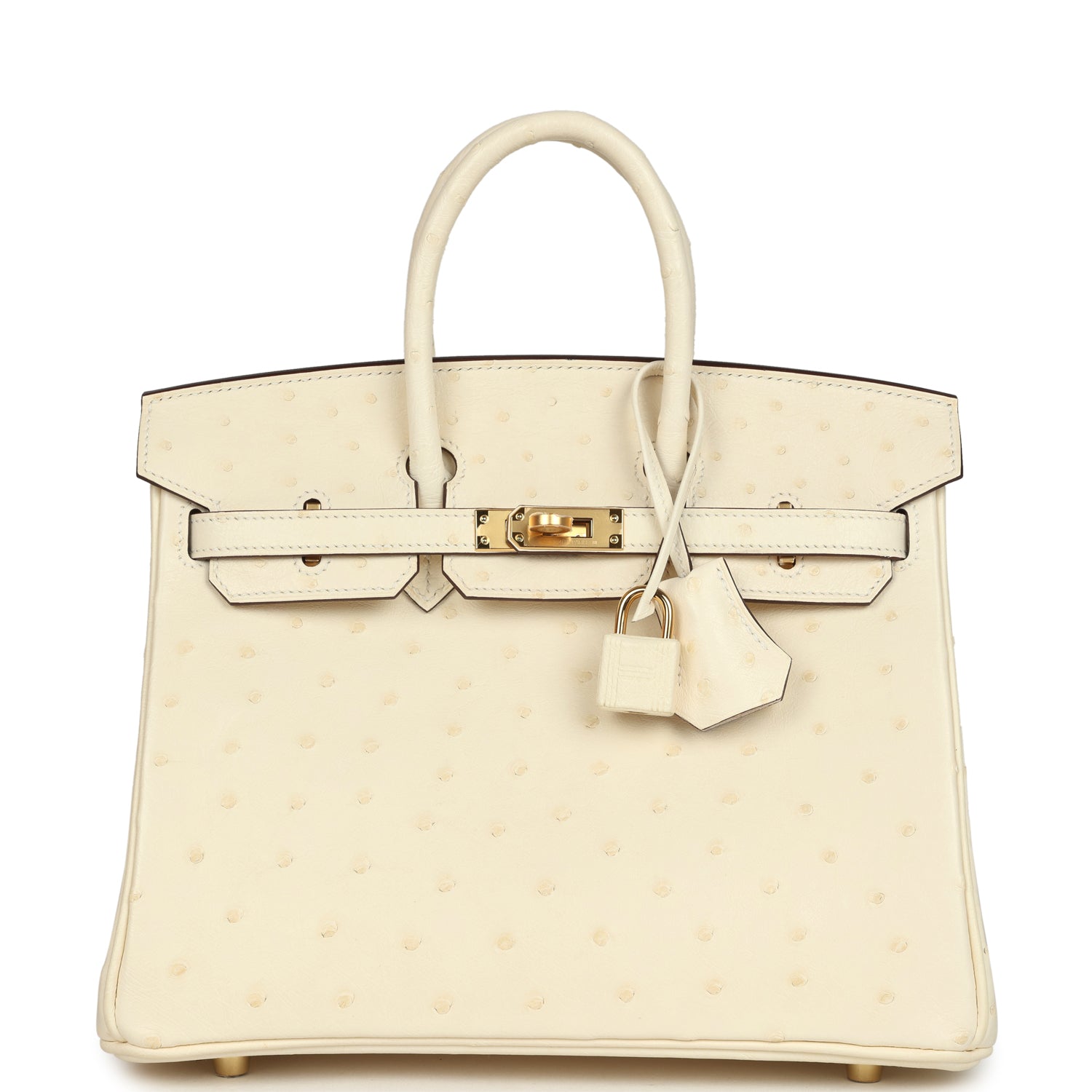 Birkin 25 Nata Ostrich Gold Hardware Bag