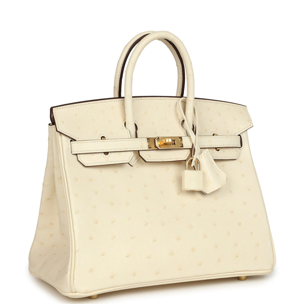 Birkin 25 Nata Ostrich Gold Hardware Bag