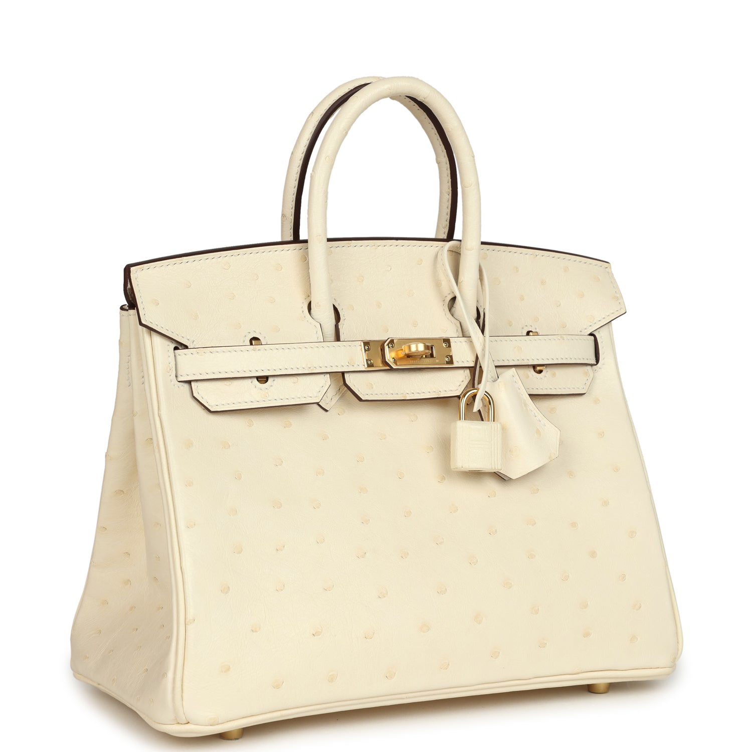 Birkin 25 Nata Ostrich Gold Hardware Bag