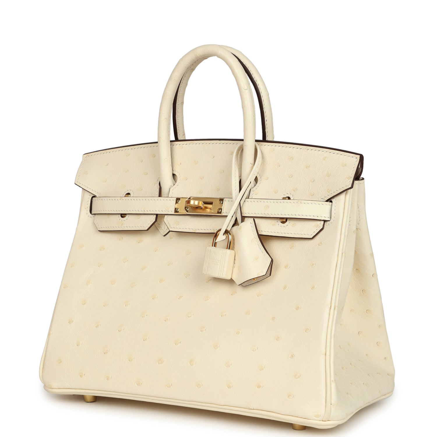 Birkin 25 Nata Ostrich Gold Hardware Bag