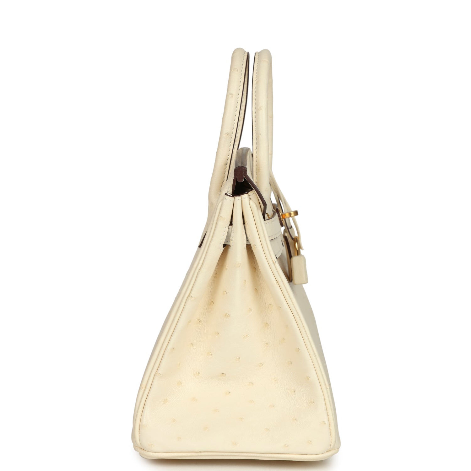 Birkin 25 Nata Ostrich Gold Hardware Bag