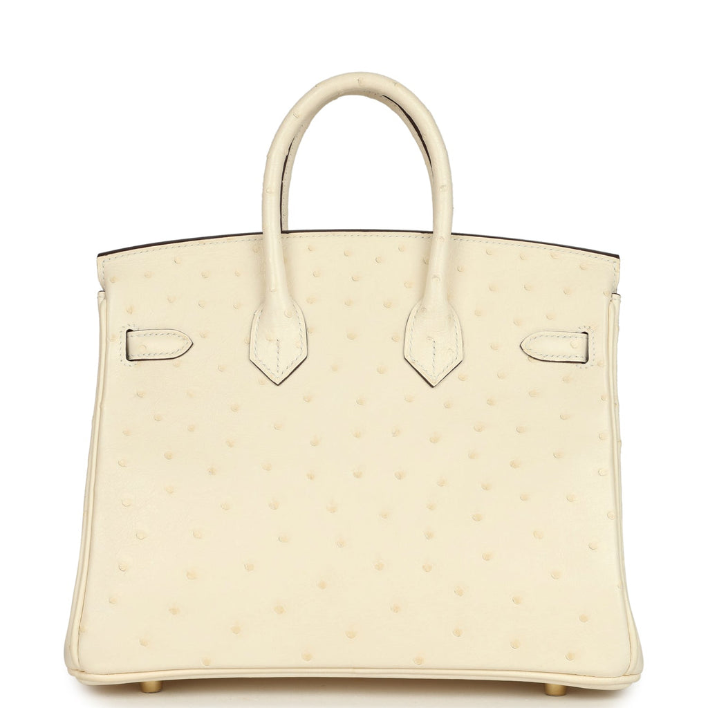 Birkin 25 Nata Ostrich Gold Hardware Bag