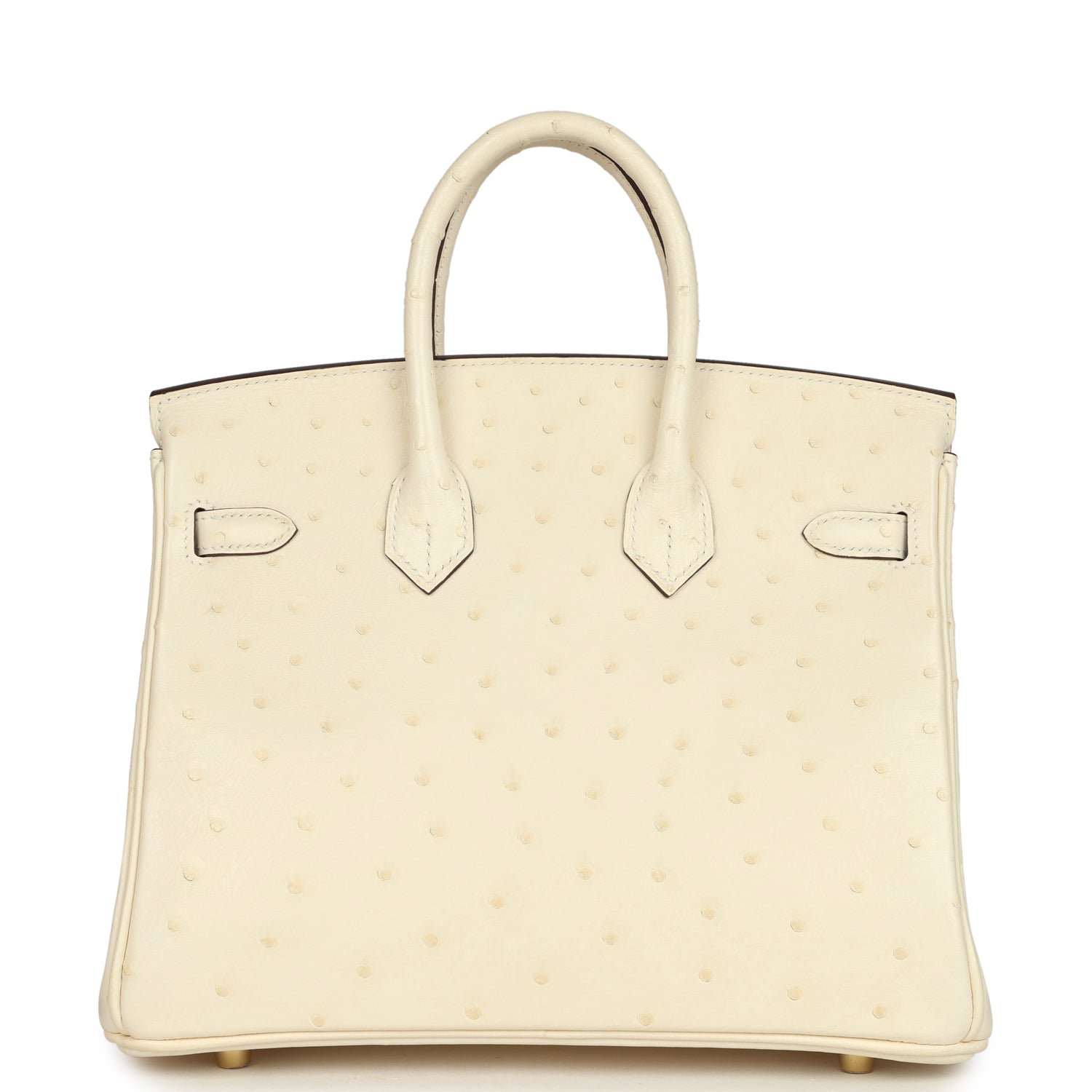 Birkin 25 Nata Ostrich Gold Hardware Bag