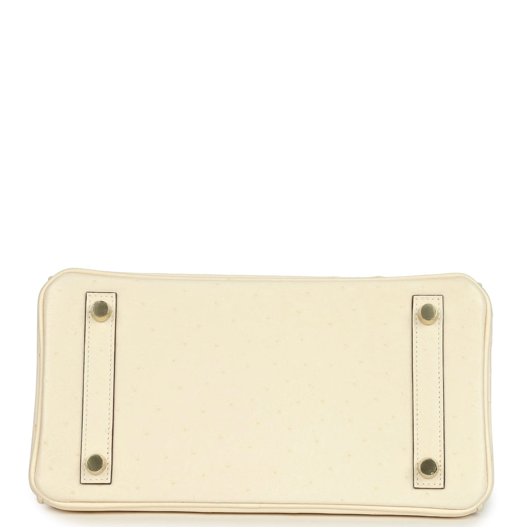Birkin 25 Nata Ostrich Gold Hardware Bag