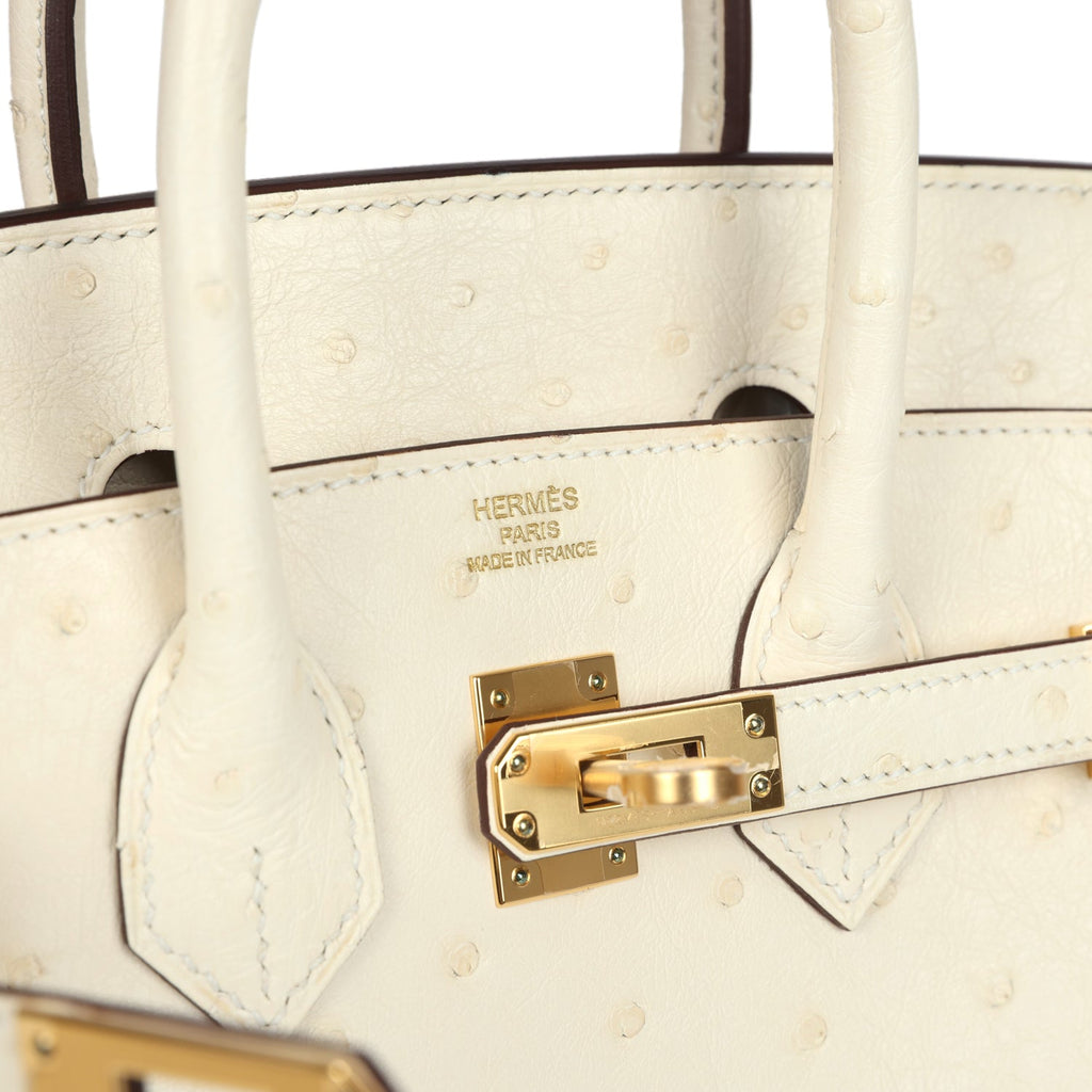 Birkin 25 Nata Ostrich Gold Hardware Bag