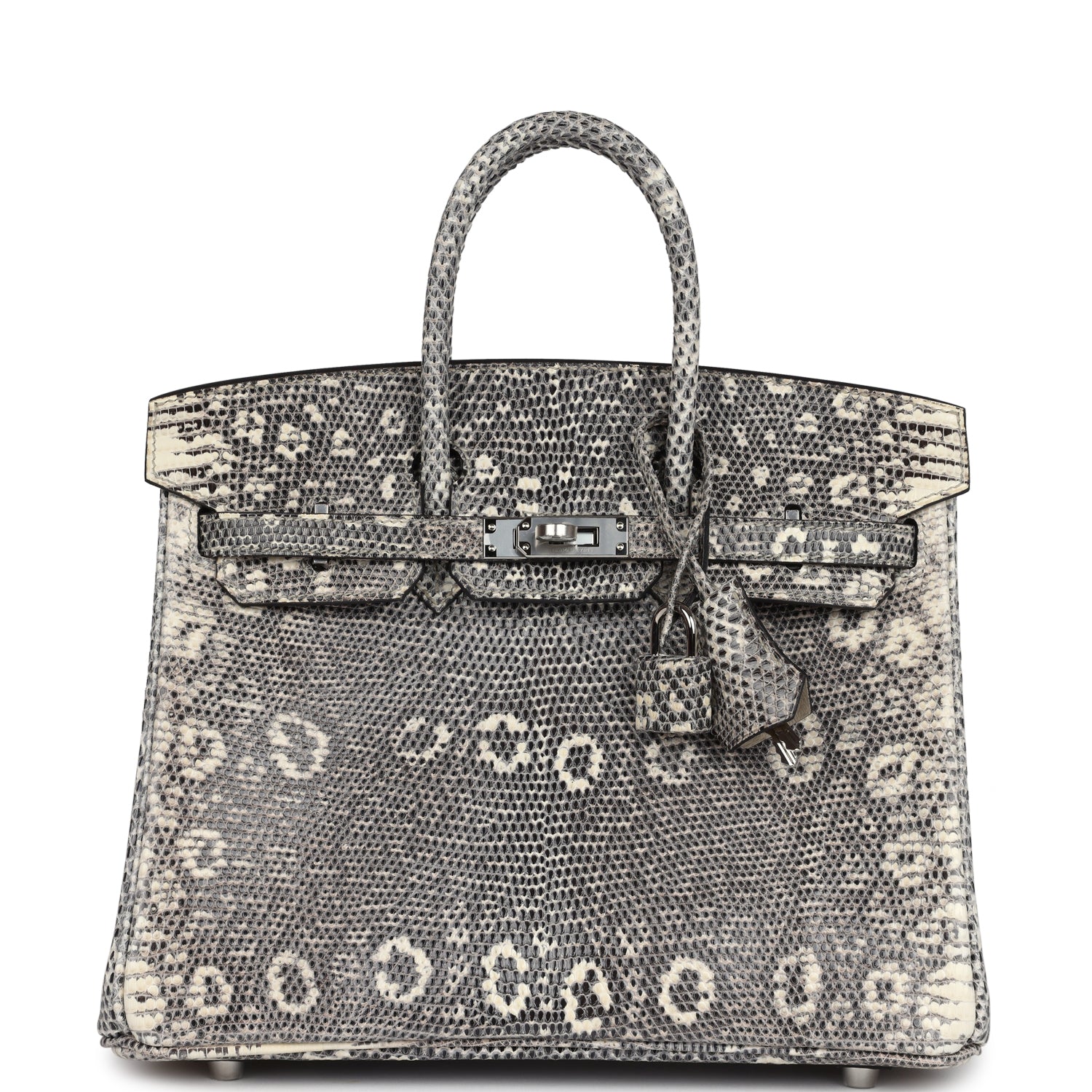 Birkin 25 Ombre Varanus Salvator Lizard Palladium Hardware Bag