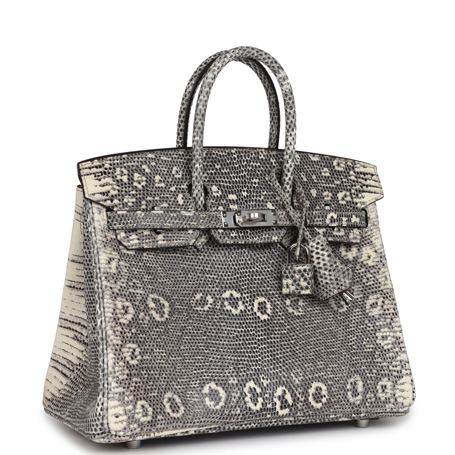 Birkin 25 Ombre Varanus Salvator Lizard Palladium Hardware Bag
