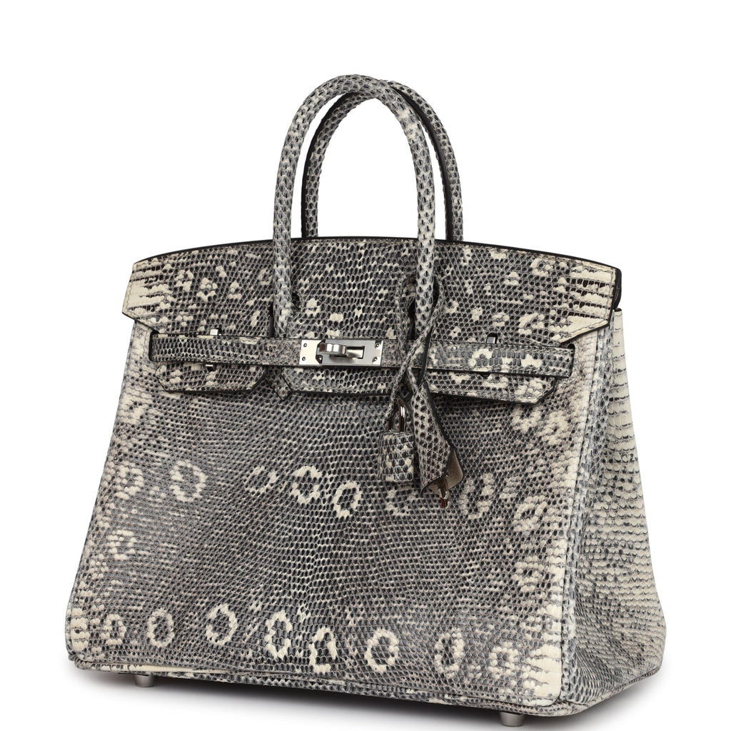 Birkin 25 Ombre Varanus Salvator Lizard Palladium Hardware Bag
