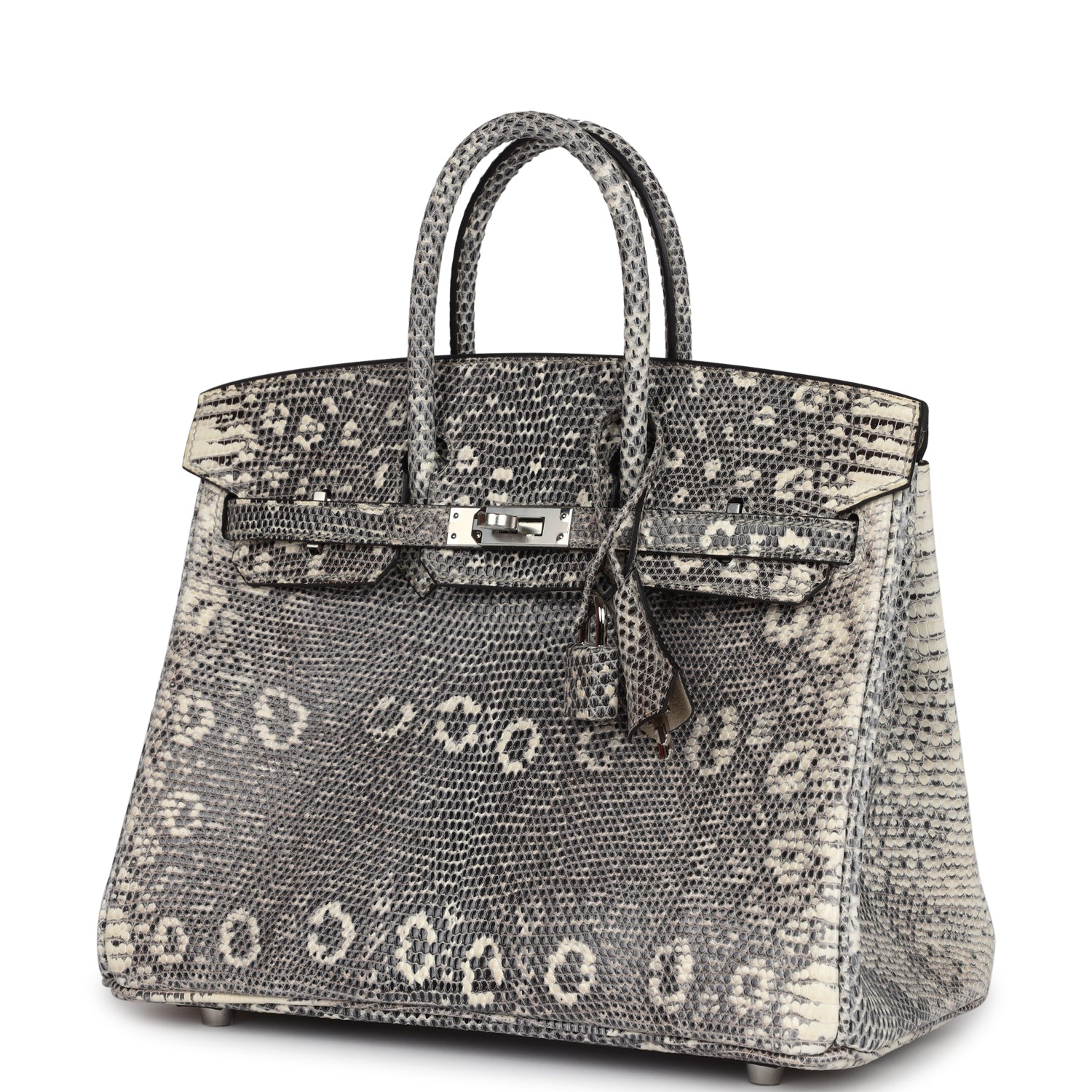 Birkin 25 Ombre Varanus Salvator Lizard Palladium Hardware Bag