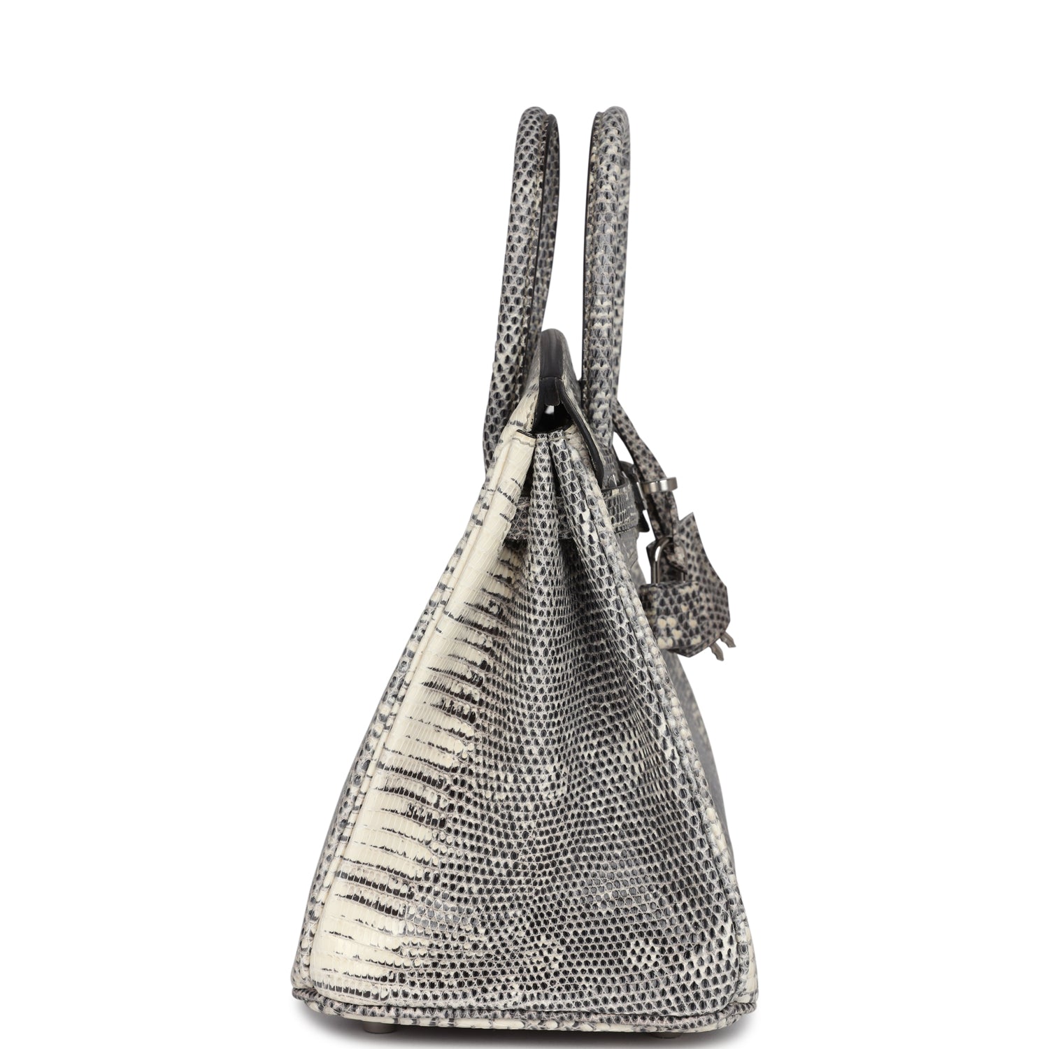 Birkin 25 Ombre Varanus Salvator Lizard Palladium Hardware Bag