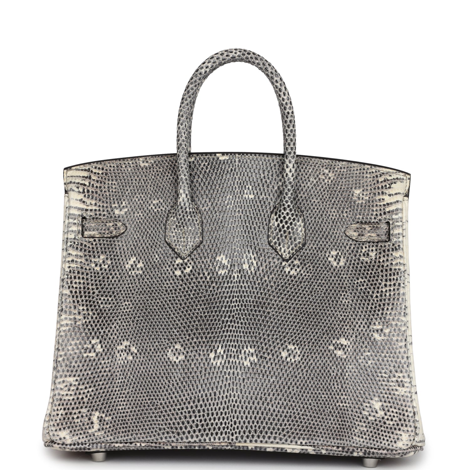 Birkin 25 Ombre Varanus Salvator Lizard Palladium Hardware Bag