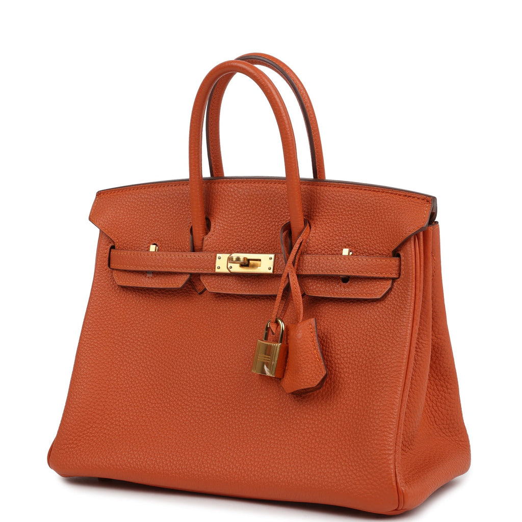 Birkin 25 Orange Togo Gold Hardware Bag