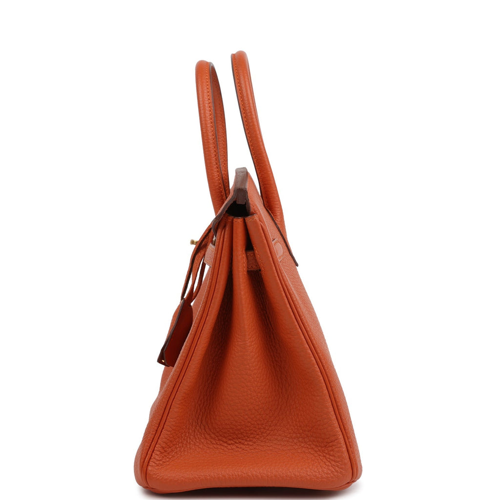Birkin 25 Orange Togo Gold Hardware Bag
