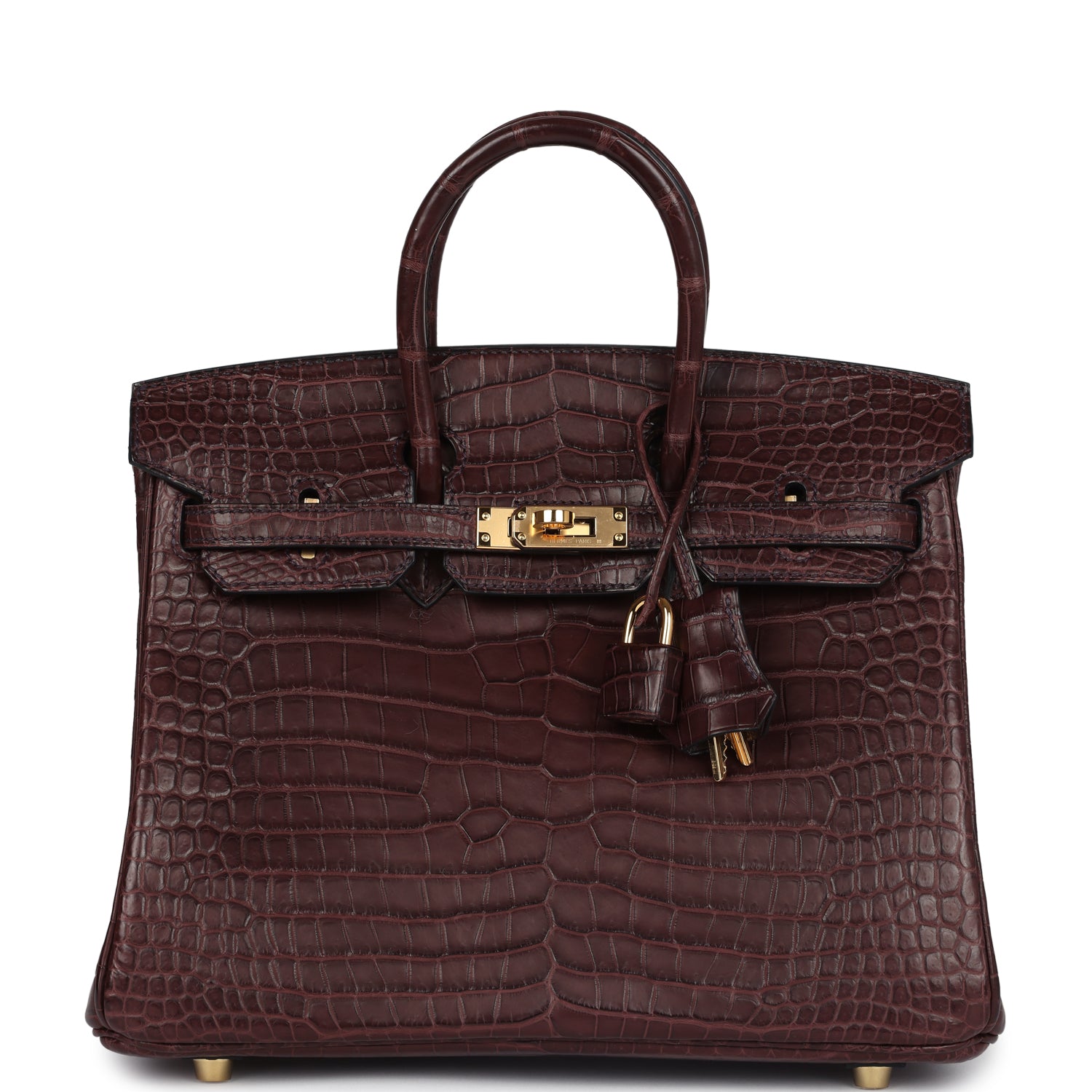 Birkin 25 Rouge Sellier Matte Porosus Crocodile Gold Hardware Bag