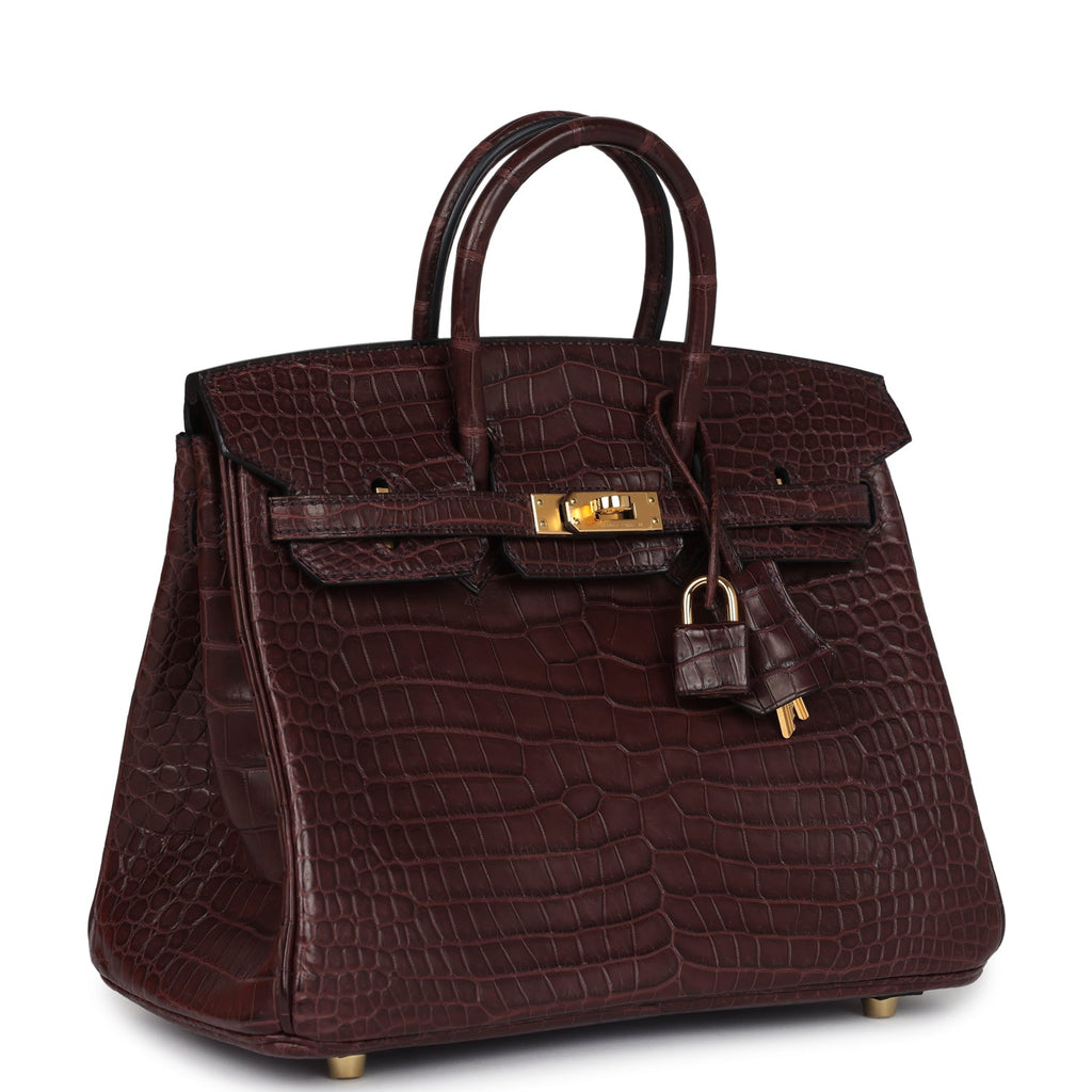 Birkin 25 Rouge Sellier Matte Porosus Crocodile Gold Hardware Bag