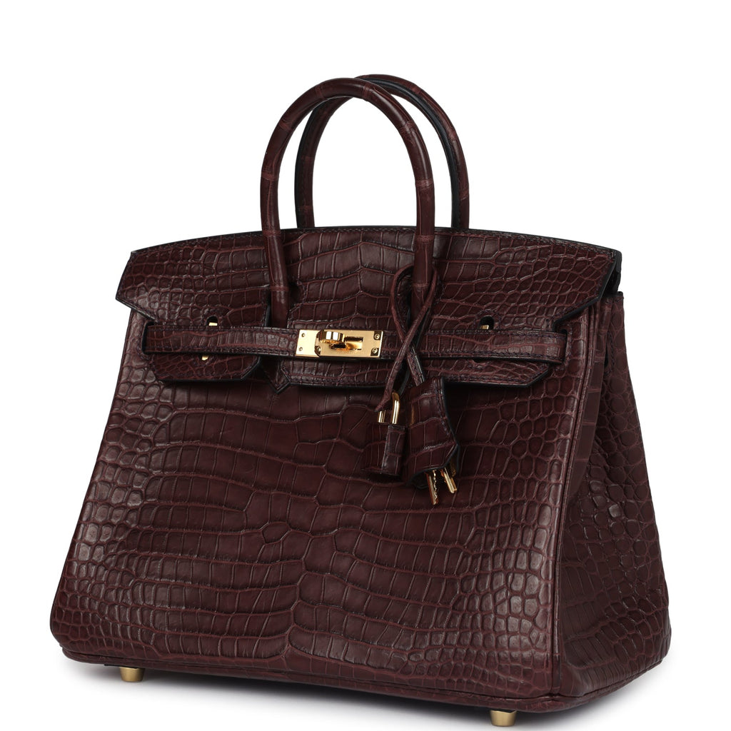 Birkin 25 Rouge Sellier Matte Porosus Crocodile Gold Hardware Bag