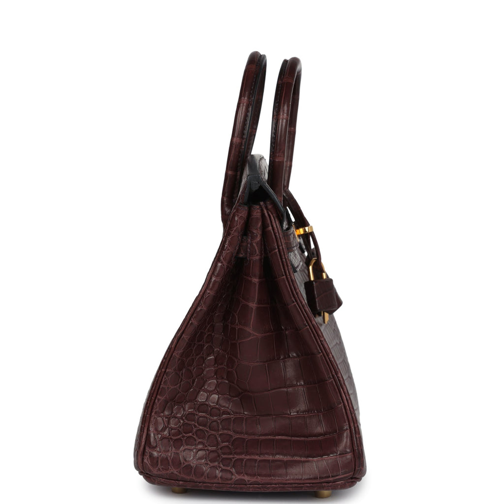 Birkin 25 Rouge Sellier Matte Porosus Crocodile Gold Hardware Bag