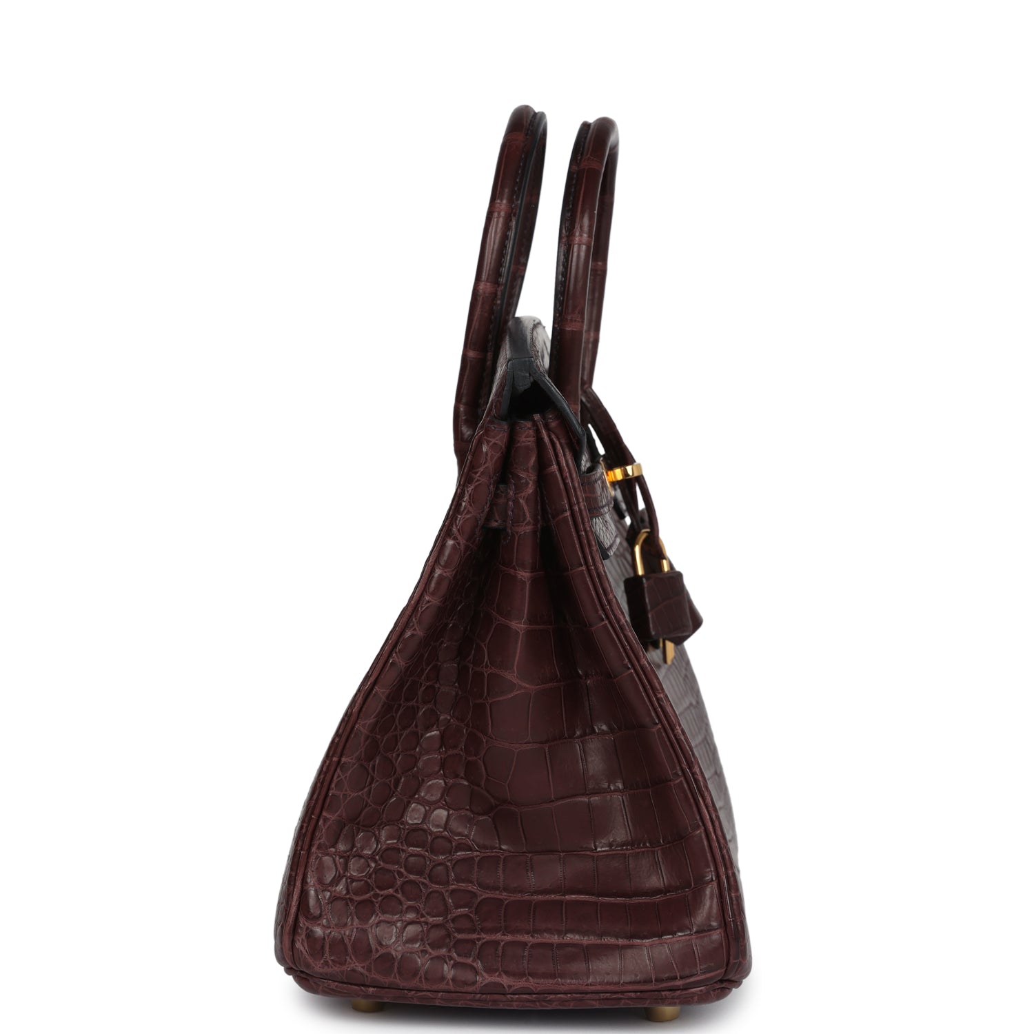 Birkin 25 Rouge Sellier Matte Porosus Crocodile Gold Hardware Bag