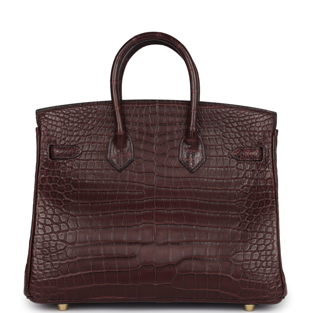 Birkin 25 Rouge Sellier Matte Porosus Crocodile Gold Hardware Bag