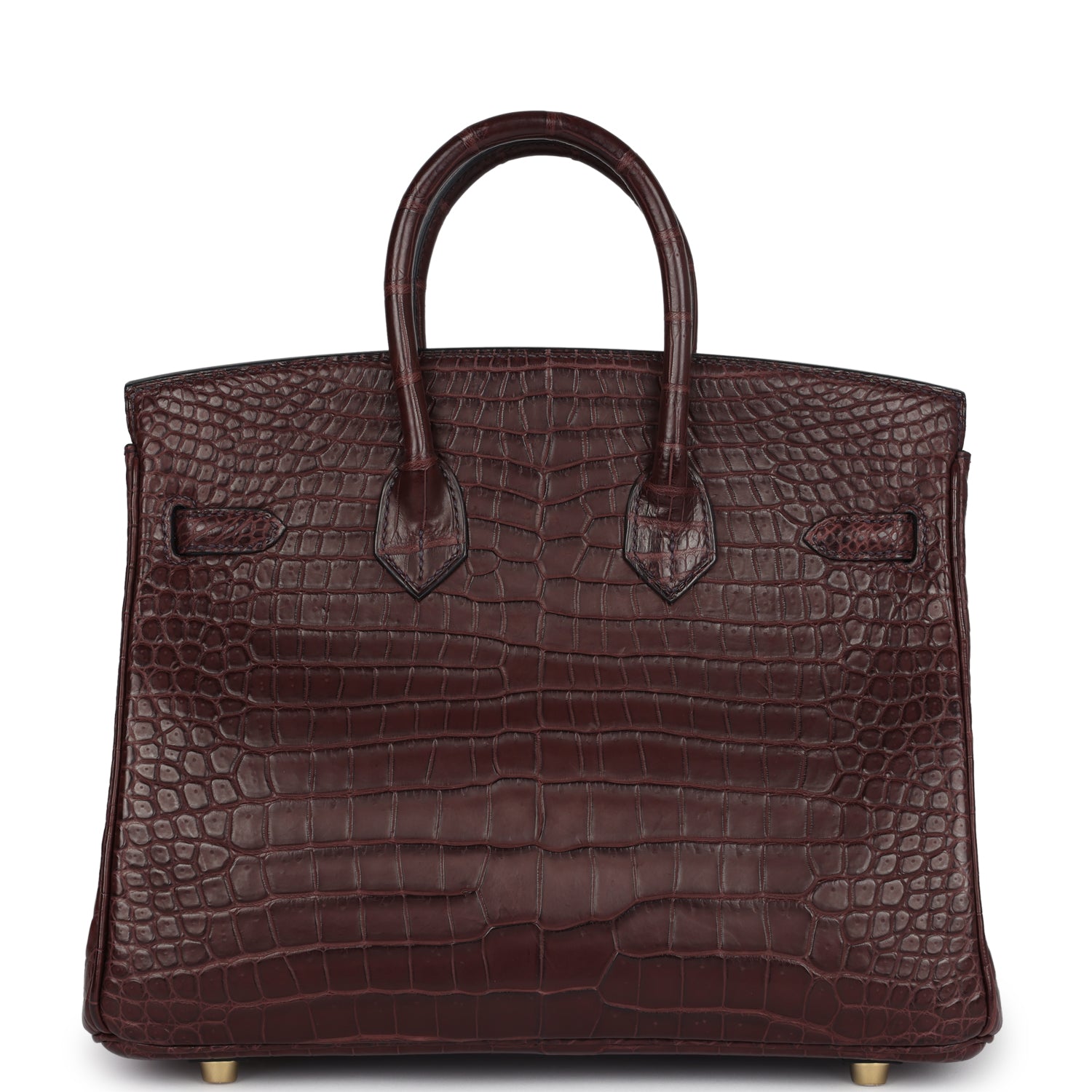Birkin 25 Rouge Sellier Matte Porosus Crocodile Gold Hardware Bag
