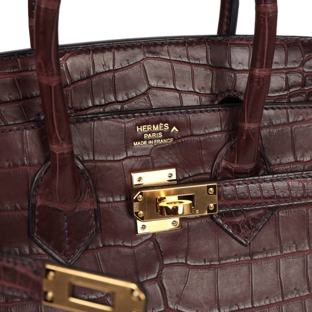 Birkin 25 Rouge Sellier Matte Porosus Crocodile Gold Hardware Bag