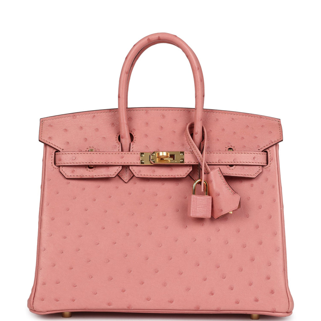 Birkin 25 Terre Cuite Ostrich Gold Hardware Bag