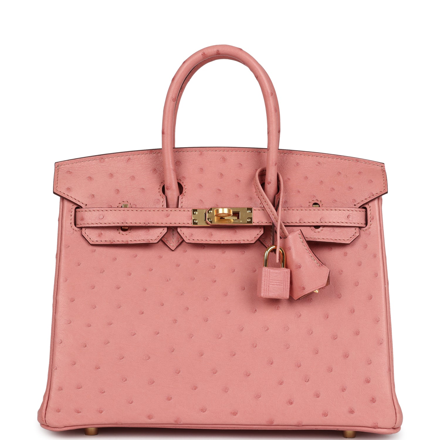 Birkin 25 Terre Cuite Ostrich Gold Hardware Bag