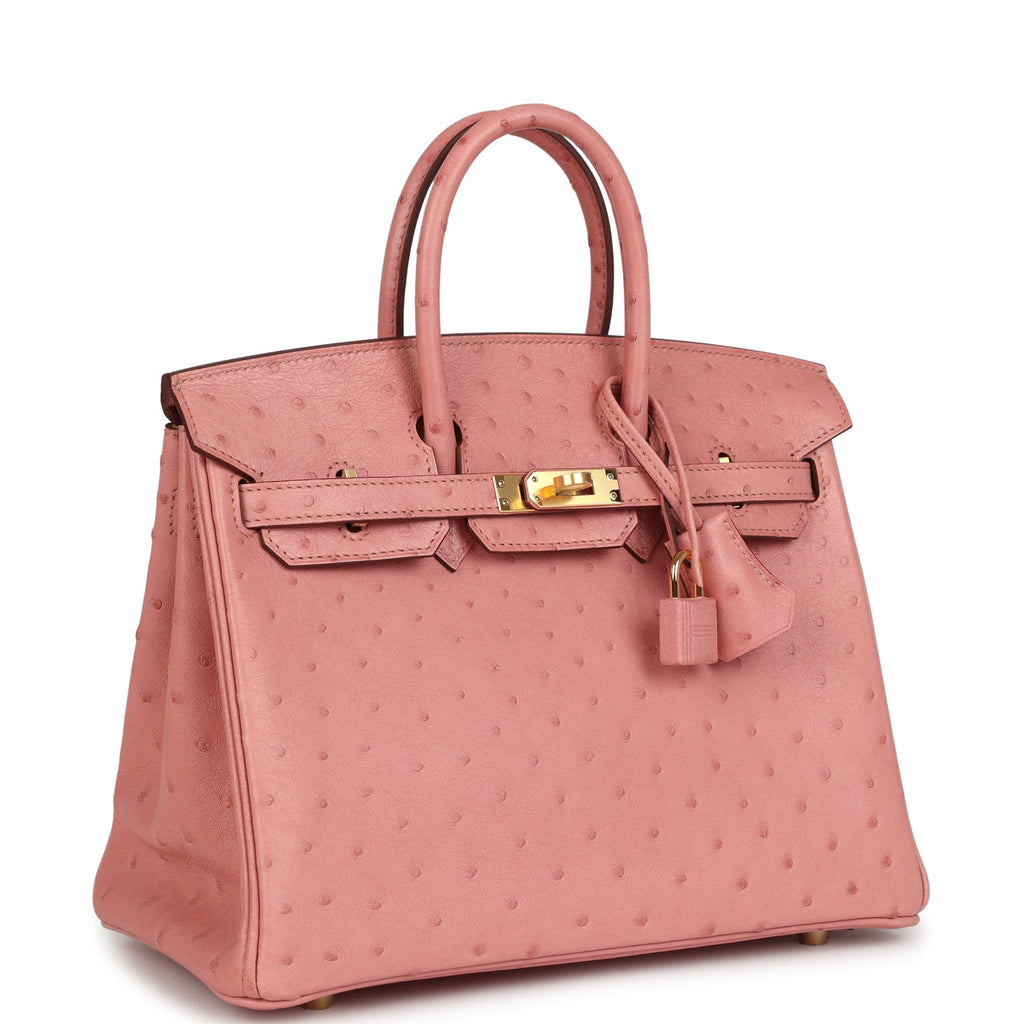 Birkin 25 Terre Cuite Ostrich Gold Hardware Bag