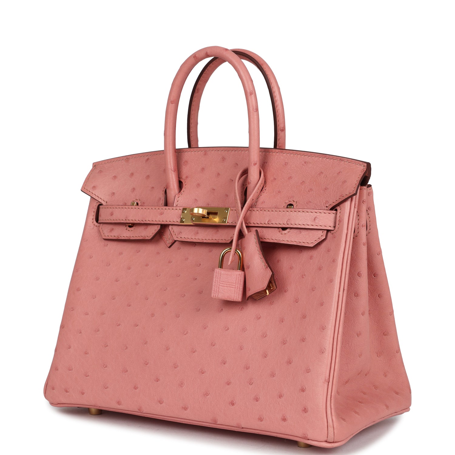 Birkin 25 Terre Cuite Ostrich Gold Hardware Bag