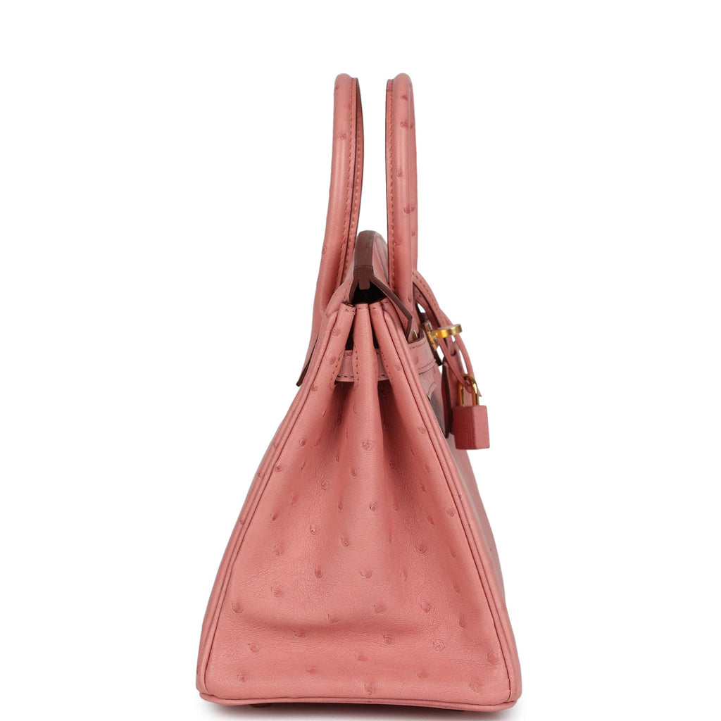 Birkin 25 Terre Cuite Ostrich Gold Hardware Bag