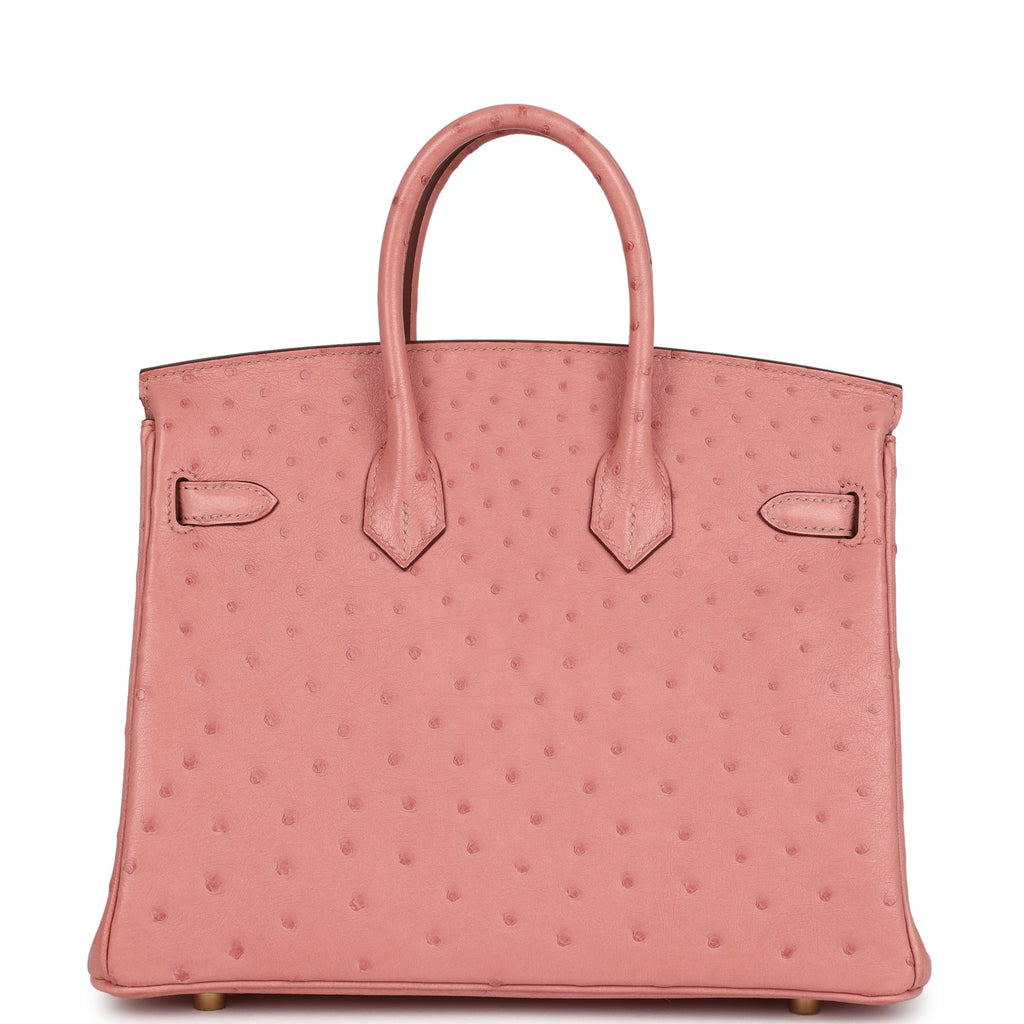 Birkin 25 Terre Cuite Ostrich Gold Hardware Bag