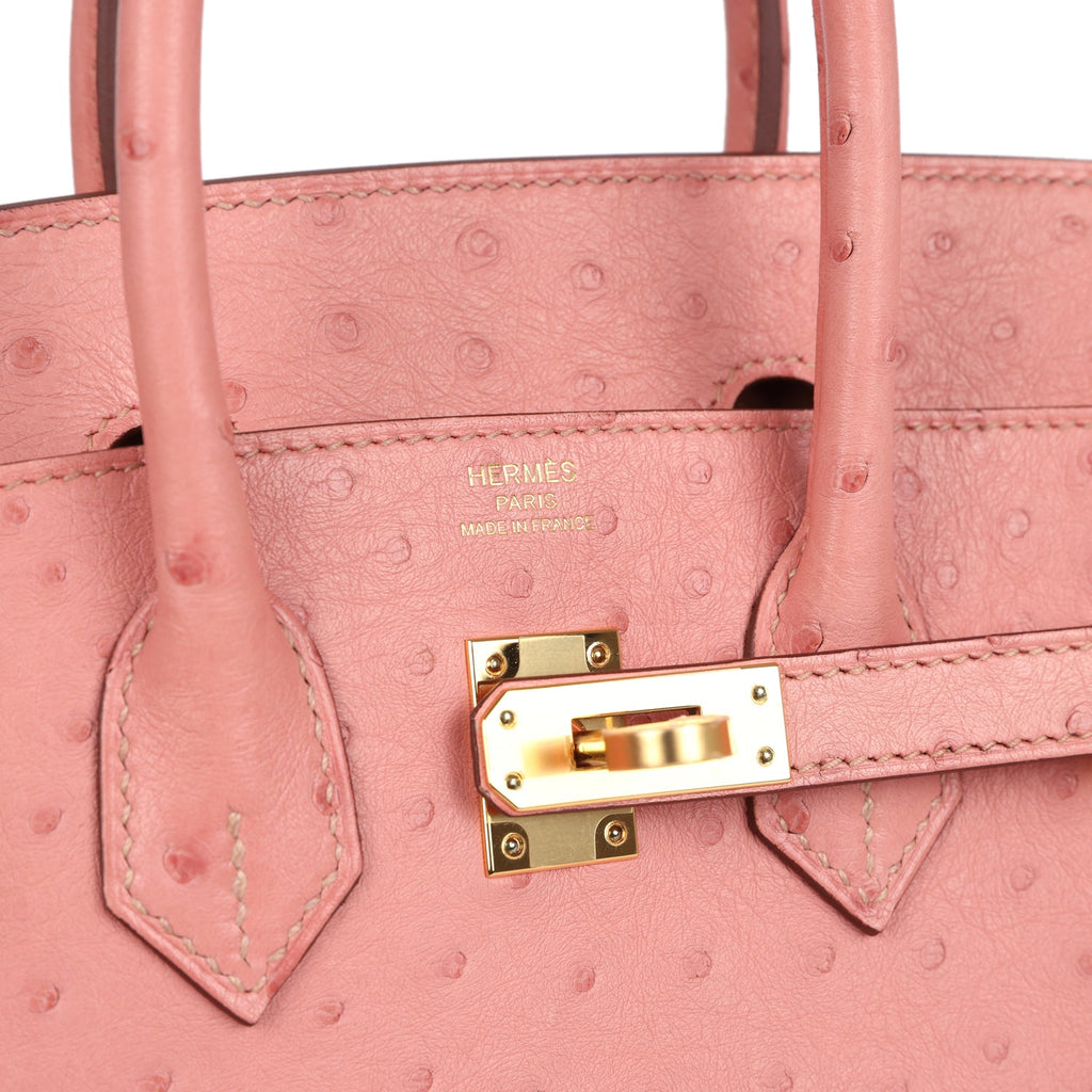 Birkin 25 Terre Cuite Ostrich Gold Hardware Bag