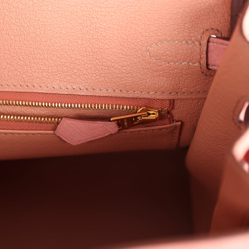 Birkin 25 Terre Cuite Ostrich Gold Hardware Bag