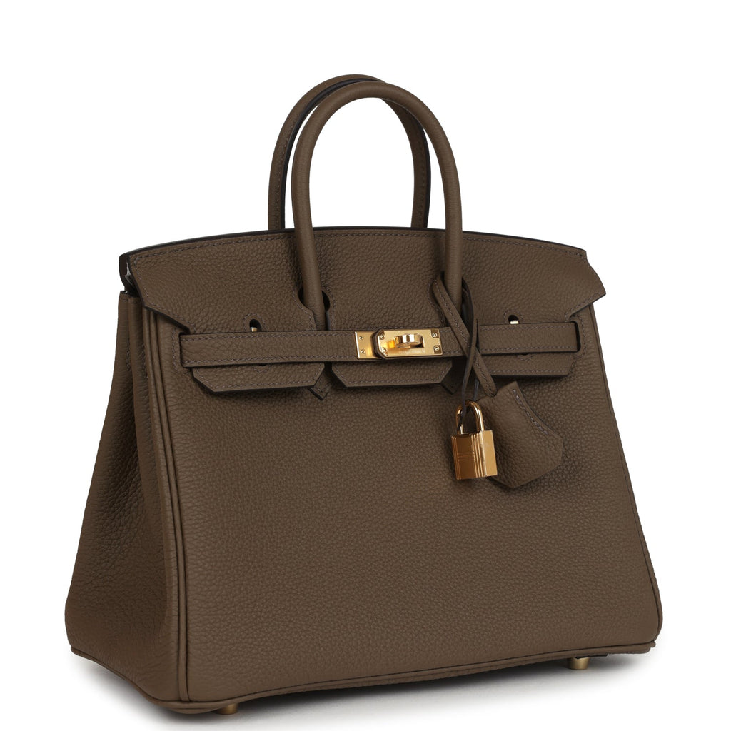 Birkin 25 Toundra Verso Togo Gold Hardware Bag