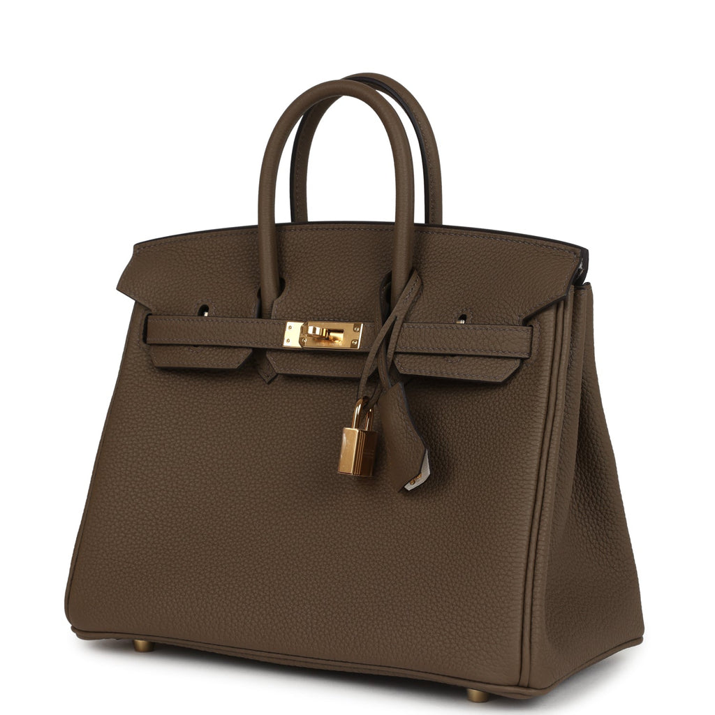 Birkin 25 Toundra Verso Togo Gold Hardware Bag