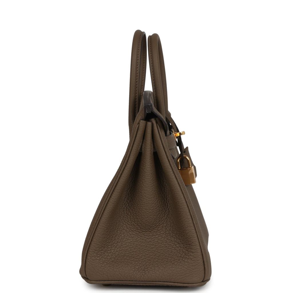 Birkin 25 Toundra Verso Togo Gold Hardware Bag