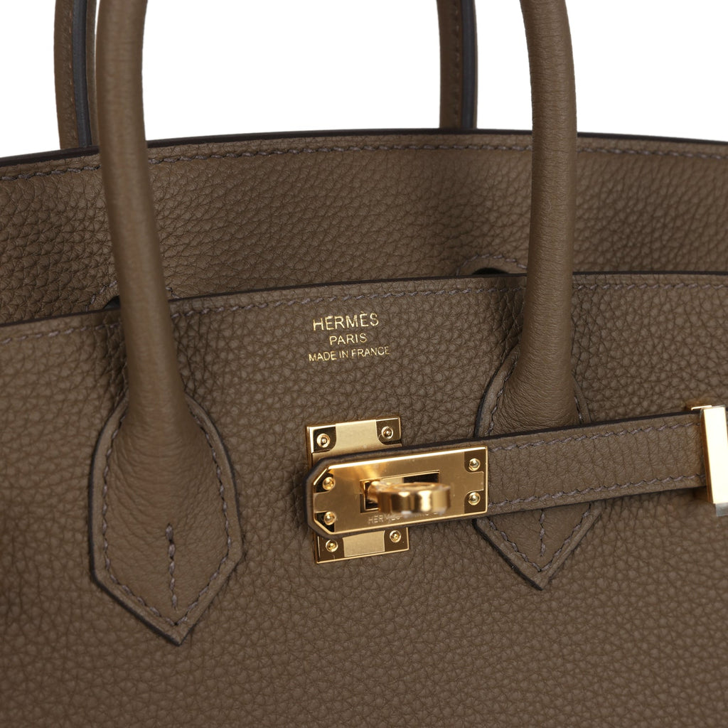 Birkin 25 Toundra Verso Togo Gold Hardware Bag