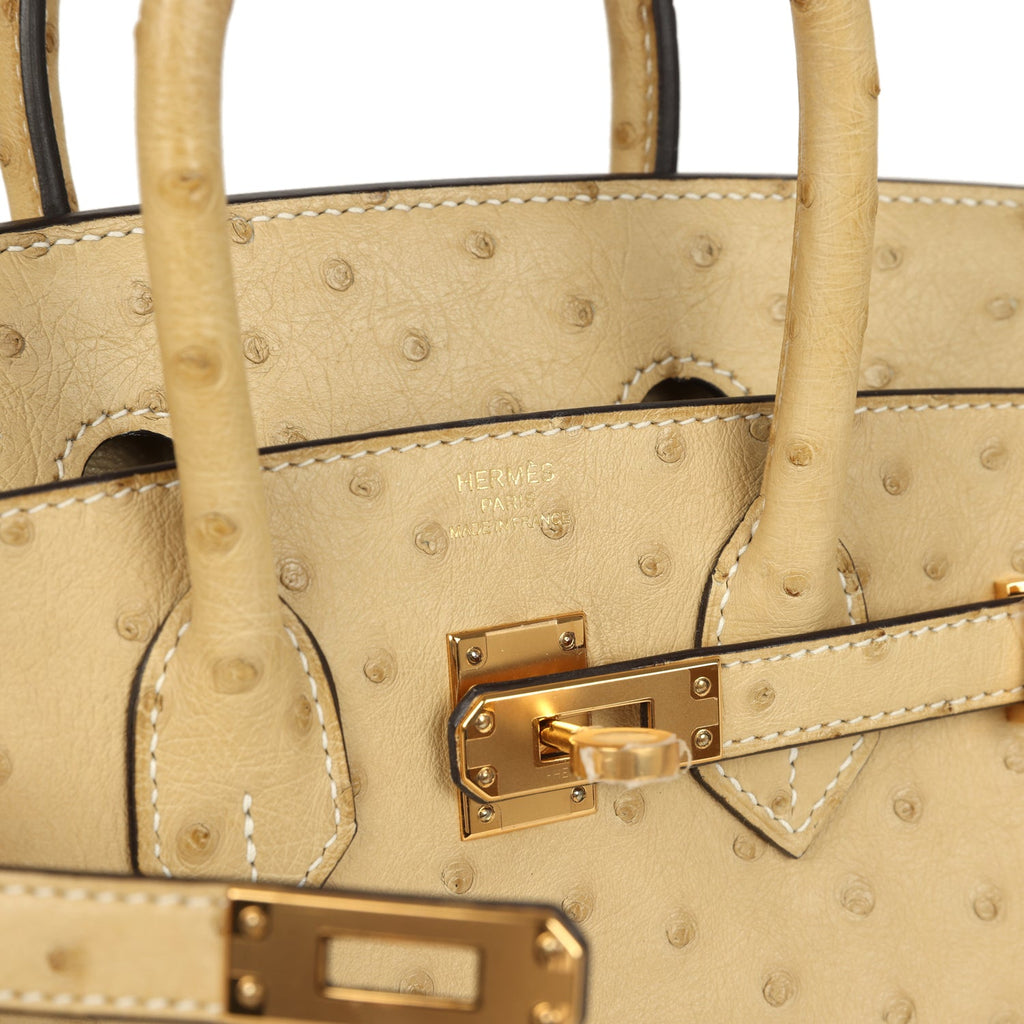 Birkin 25 Trench Ostrich Gold Hardware Bag
