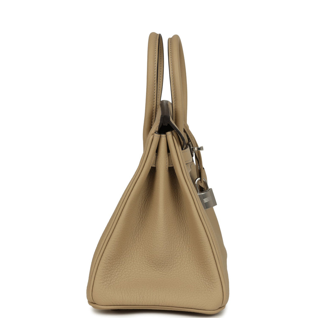 Birkin 25 Trench Togo Palladium Hardware Bag