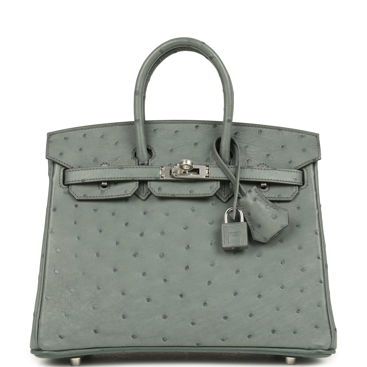 Birkin 25 Vert Amande Ostrich Palladium Hardware Bag