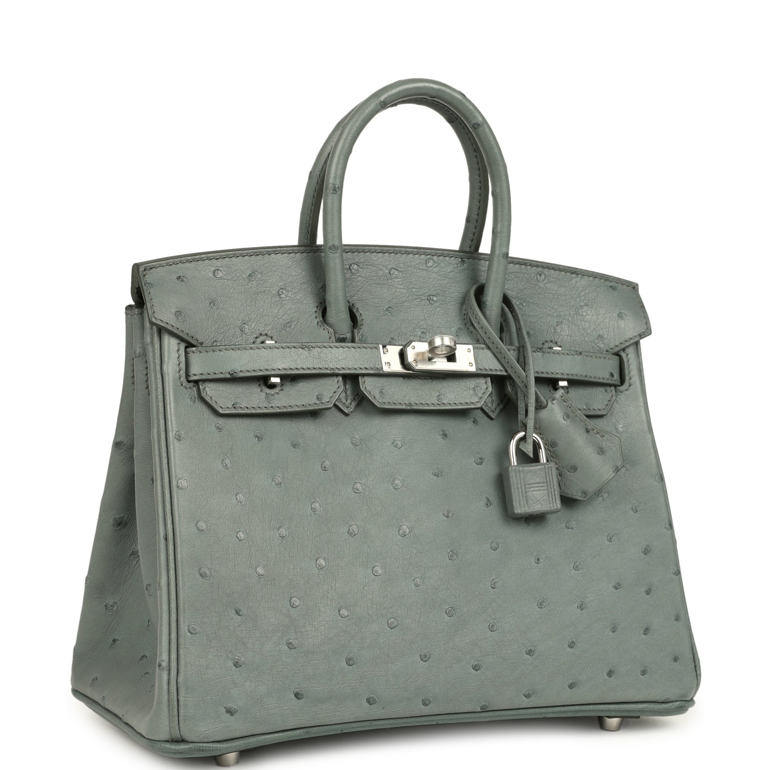 Birkin 25 Vert Amande Ostrich Palladium Hardware Bag