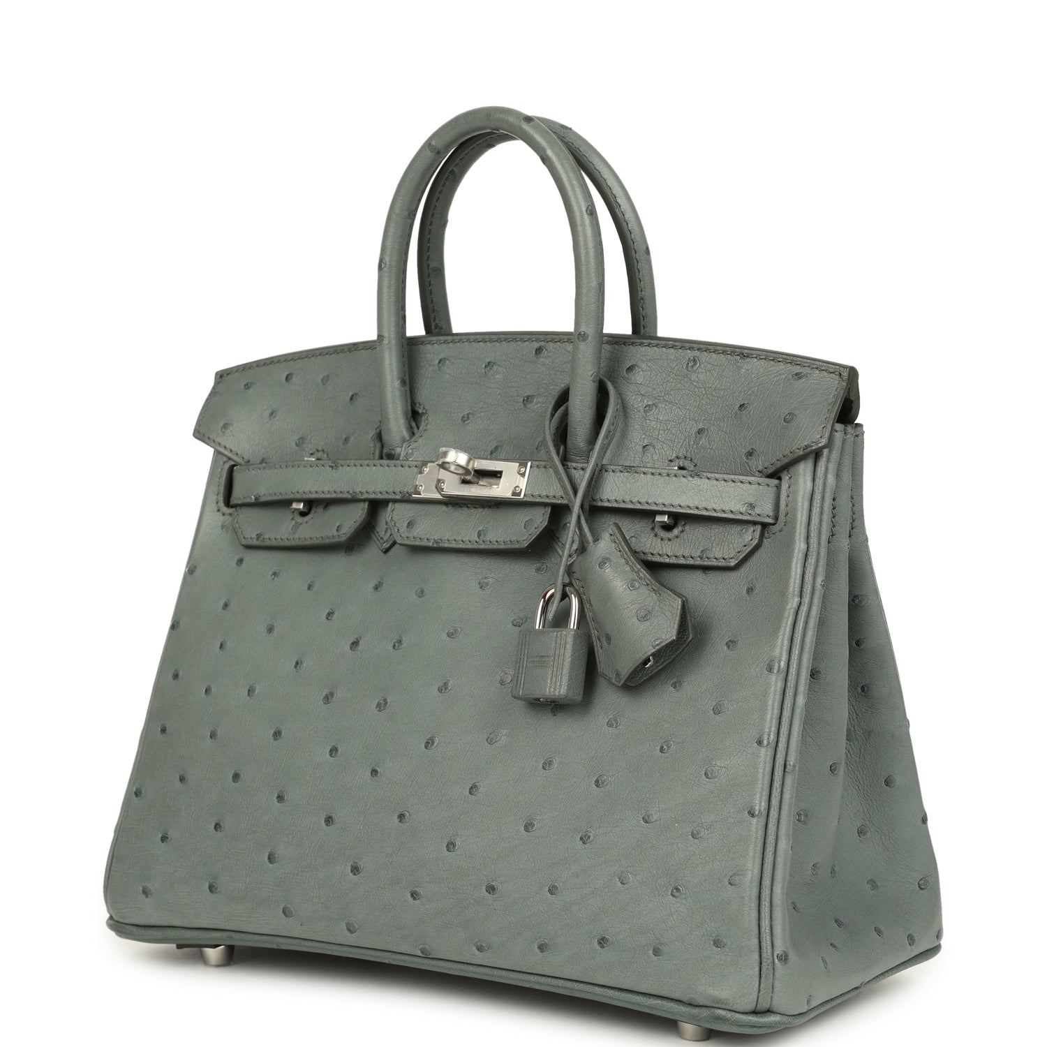 Birkin 25 Vert Amande Ostrich Palladium Hardware Bag