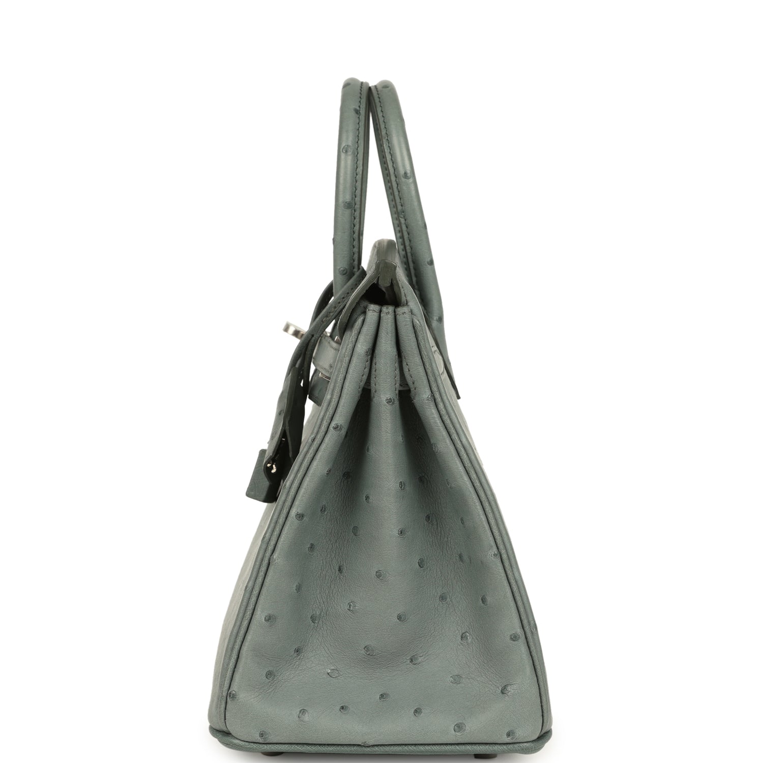 Birkin 25 Vert Amande Ostrich Palladium Hardware Bag