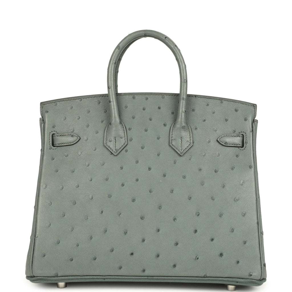 Birkin 25 Vert Amande Ostrich Palladium Hardware Bag
