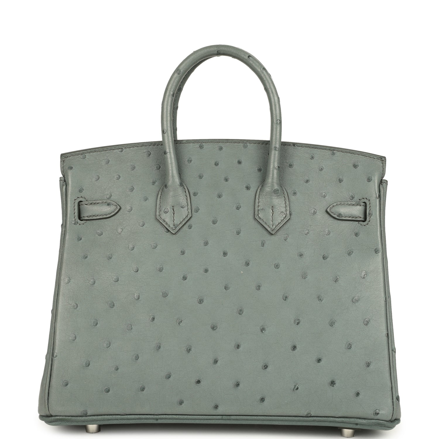 Birkin 25 Vert Amande Ostrich Palladium Hardware Bag