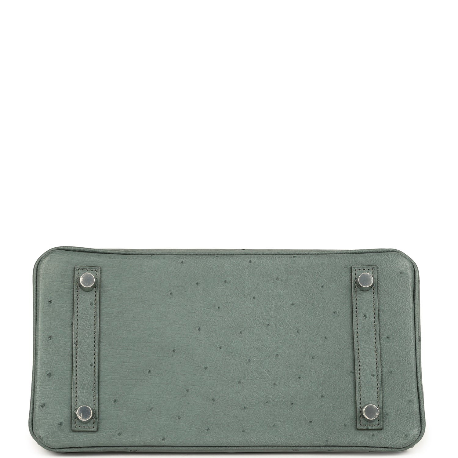 Birkin 25 Vert Amande Ostrich Palladium Hardware Bag