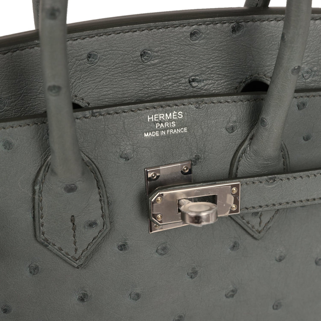 Birkin 25 Vert Amande Ostrich Palladium Hardware Bag