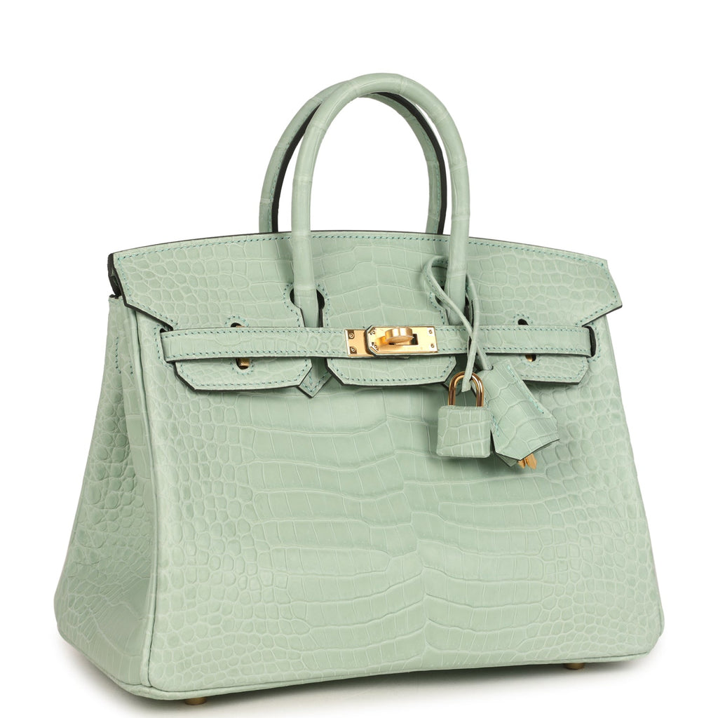 Birkin 25 Vert D'Eau Matte Porosus Crocodile Gold Hardware Bag