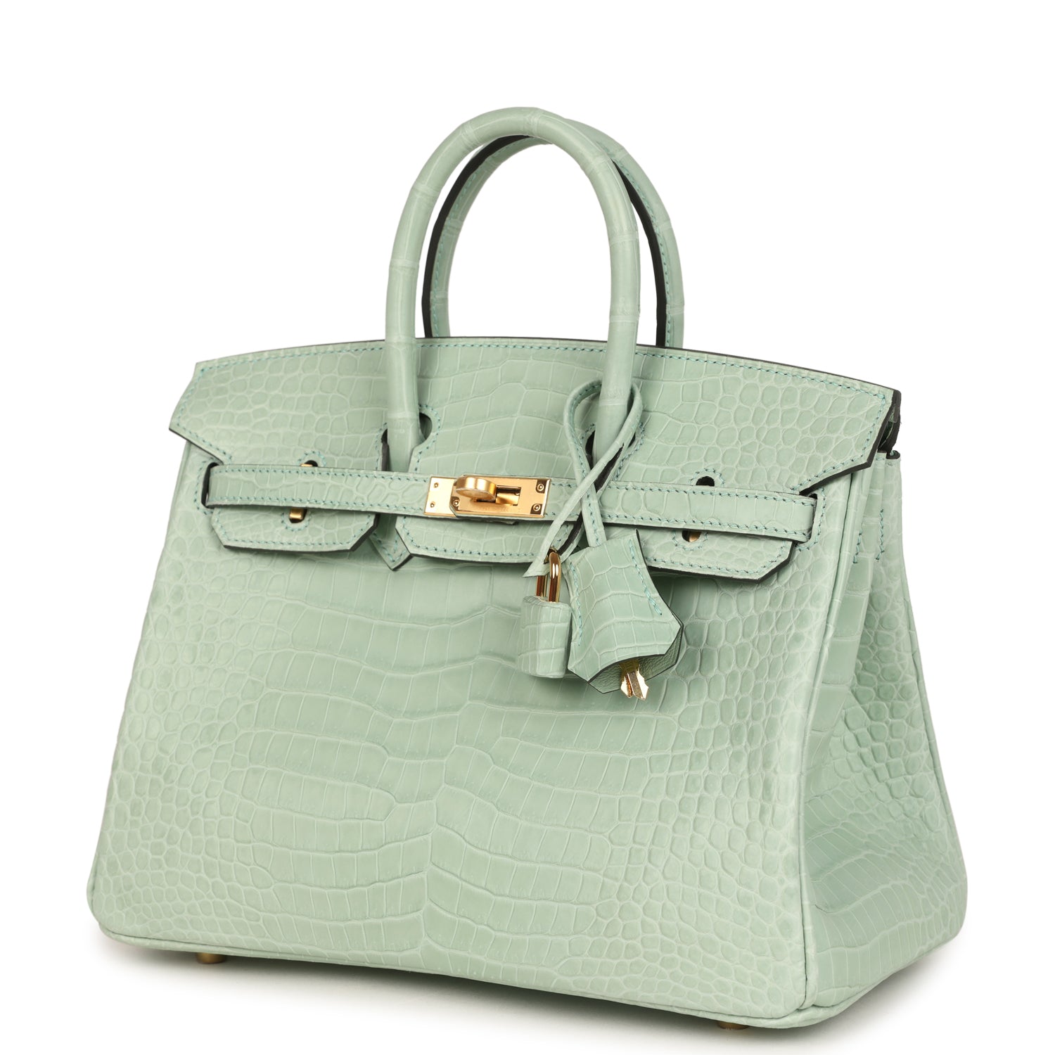 Birkin 25 Vert D'Eau Matte Porosus Crocodile Gold Hardware Bag